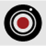 Famosos e Celebridades