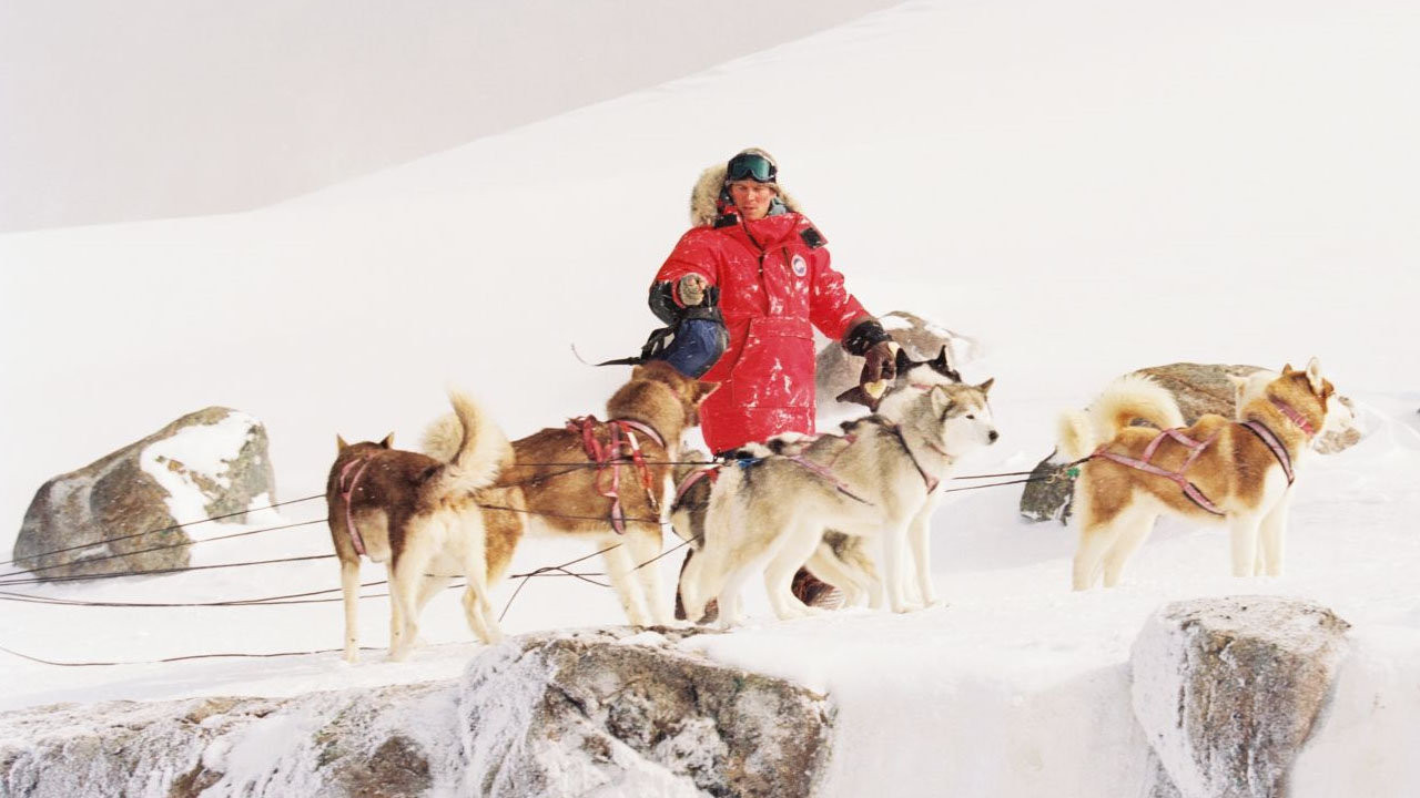 <p>Based on the 1983 film “Antarctica” (which is based on a true story), the Disney film “Eight Below” might seem like it will be a lighthearted story of friendship between a human and his sled dogs, but it’s actually a harrowing tale of survival in the coldest part of the planet. Paul Walker, Bruce Greenwood, Moon Bloodgood and Jason Biggs anchor the cast, but they’re not the only famous faces in the film. Four of the canine actors (who were praised for their performances) previously starred in another Disney movie: 2002’s “Snow Dogs.”</p>
