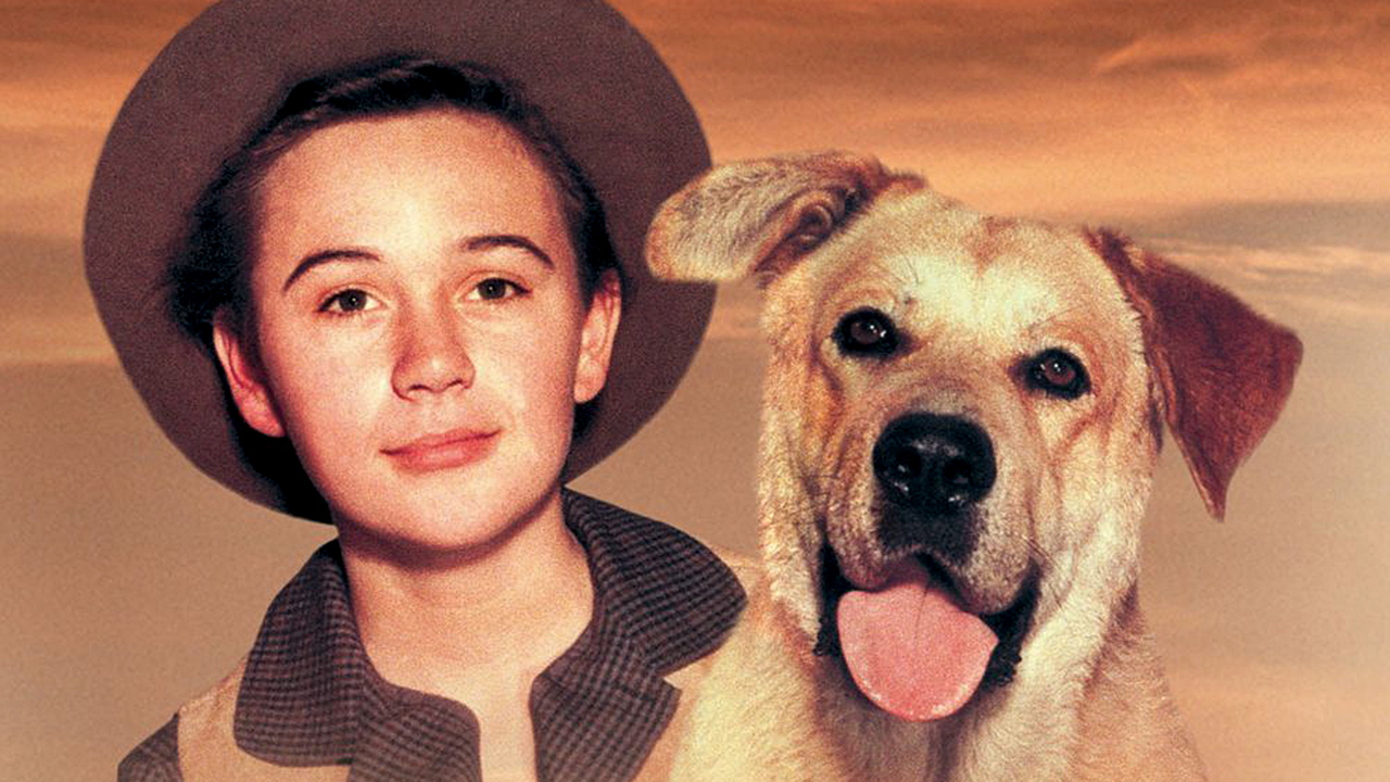 <p>Based on the 1956 children's novel of the same name by Fred Gipson, “Old Yeller” is a sweet story of a boy and the dog he loves, and how fiercely loyal canines can truly be. Until they get rabies, that is. The finale of the 1957 film is a tough pill to swallow, but like young Travis in the film, it’s a lesson that needs to be learned as part of becoming an adult. </p><p><span>As a side note, growing up we had a yellow-haired guinea pig the previous owners named Yeller, which, in retrospect, was probably a short-sighted decision, because he too had to be put down. RIP, both Yellers.</span></p>