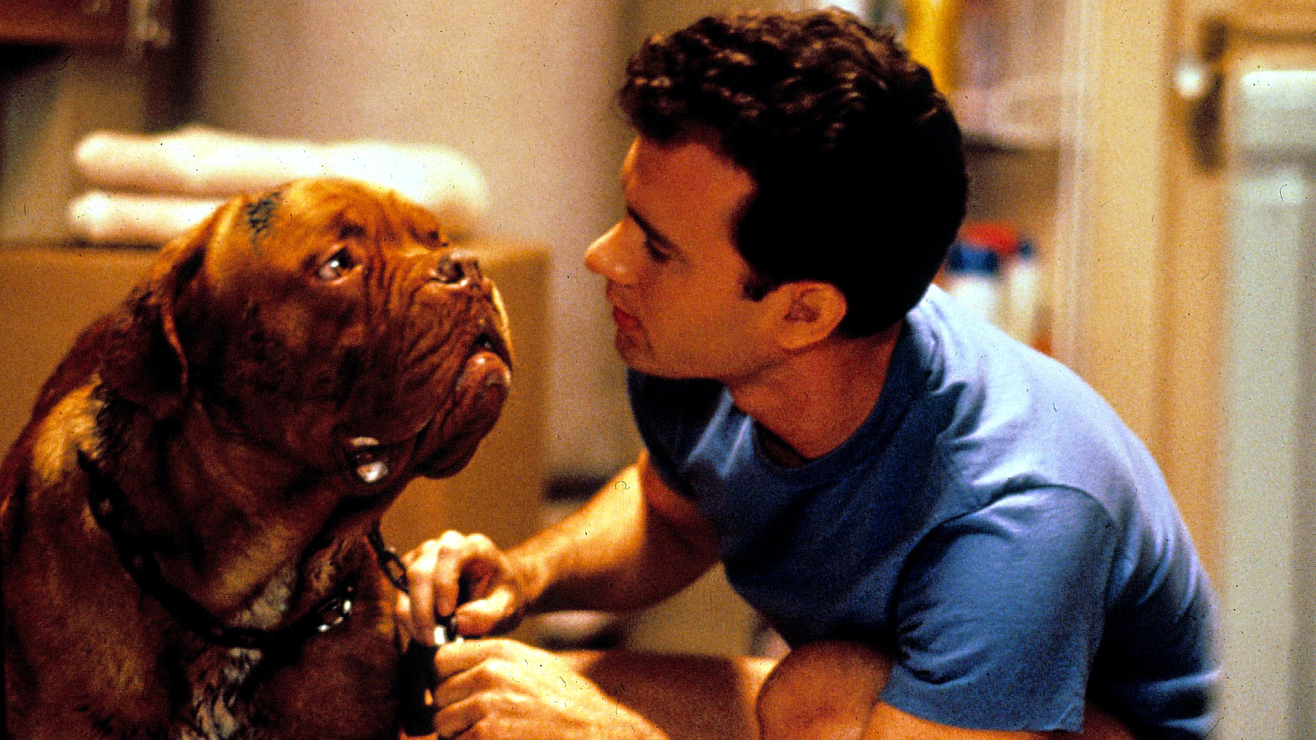 <p>When it came time to pitch “Turner & Hooch,” the creators said, “So it’s a buddy-cop comedy, except one of the partners is a dog.” The studio said no, but then the creators asked, “What if the human cop is Tom Hanks?” And the studio instantly agreed to a deal. OK, that’s probably not what actually happened, but it seems like the only way the 1989 comedy could have come about. Predictably, critics weren’t especially kind to “Turner & Hooch,” but fans (us included) lapped it up to the tune of $71 million.</p>