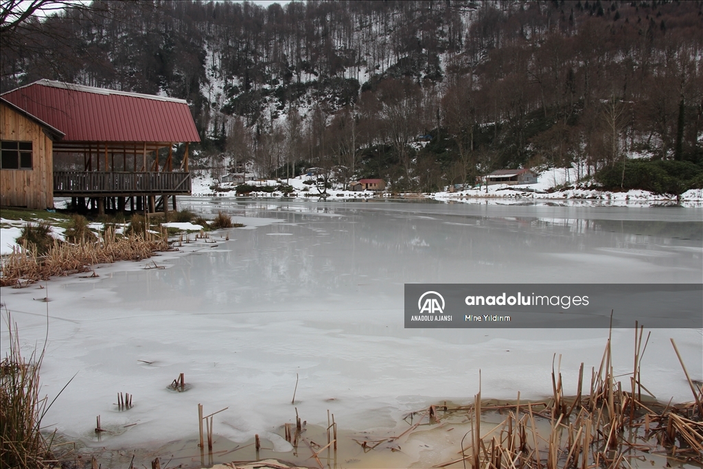 sakarya'daki keremali gölü'nün yüzeyi buz tuttu