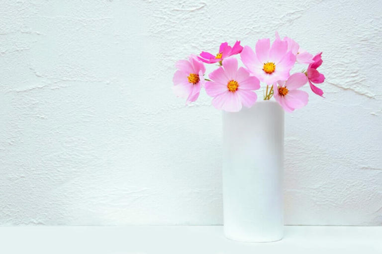 How To Cut Cosmos Flowers For Beautiful Floral Arrangements