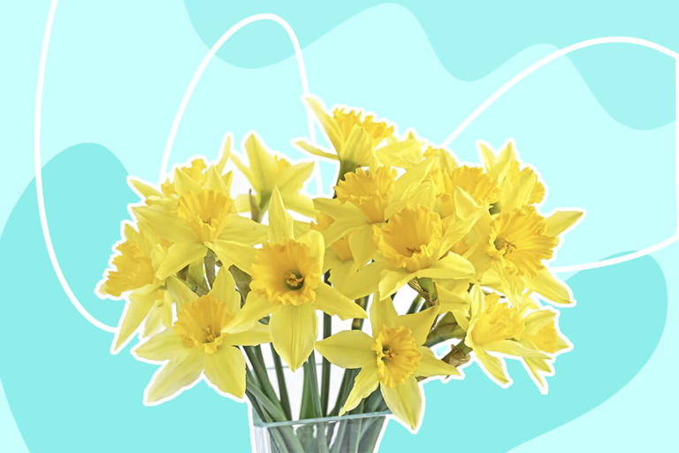 From Dahlia To Daffodil: 50 Beautiful Flowers That Start With The 