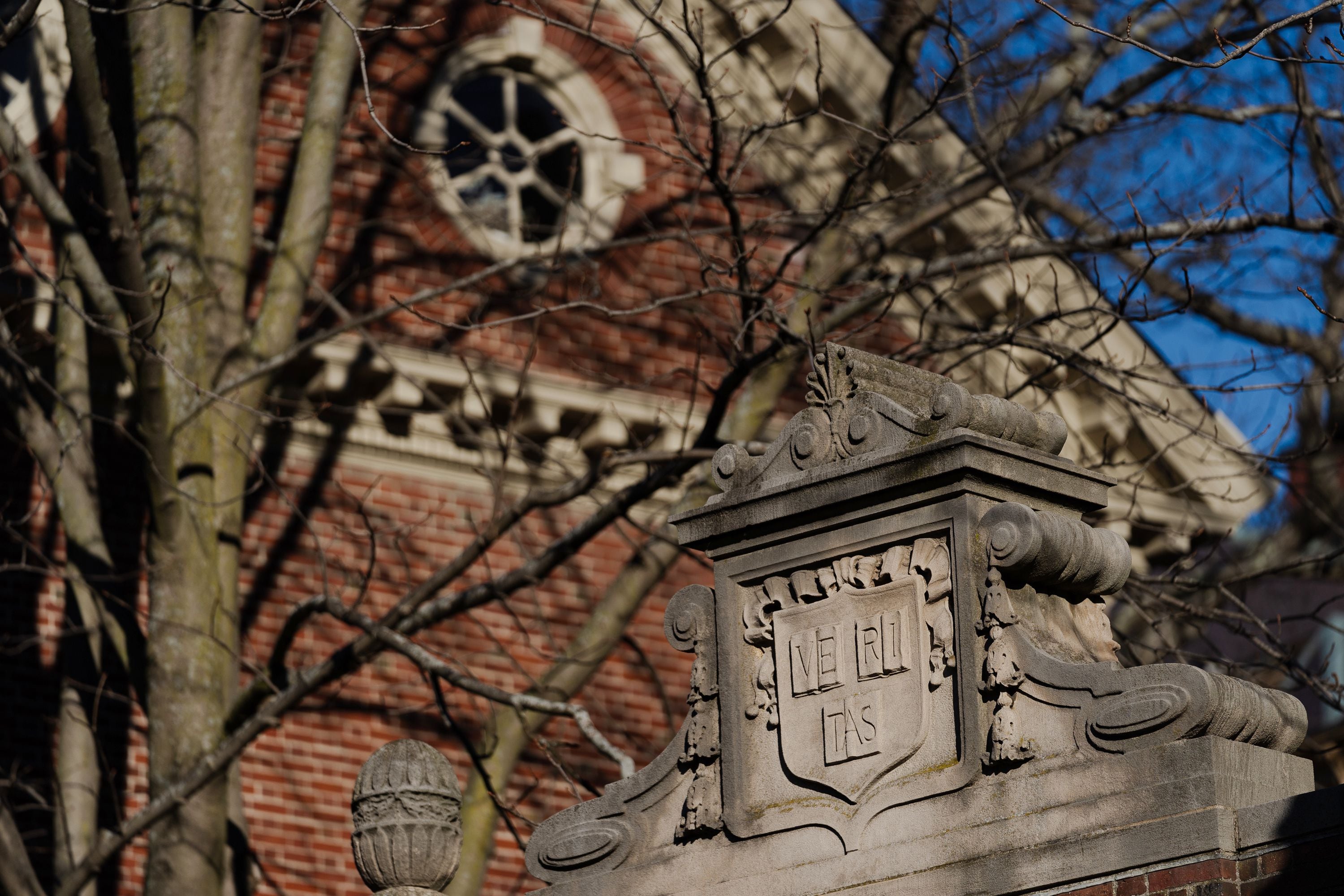 as harvard tries to restore calm, university shares new details on response to plagiarism allegations against claudine gay