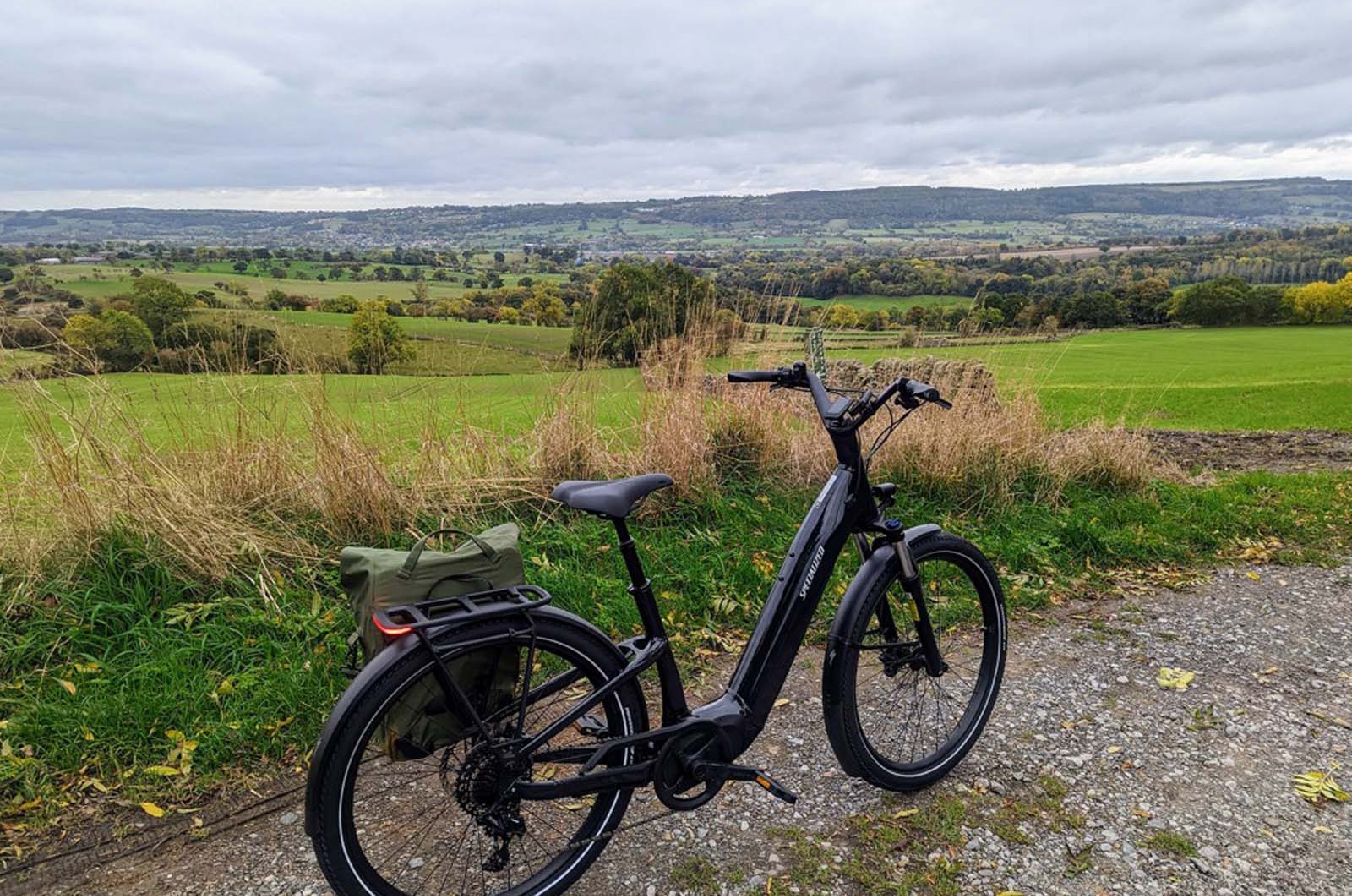 electric bicycle reddit