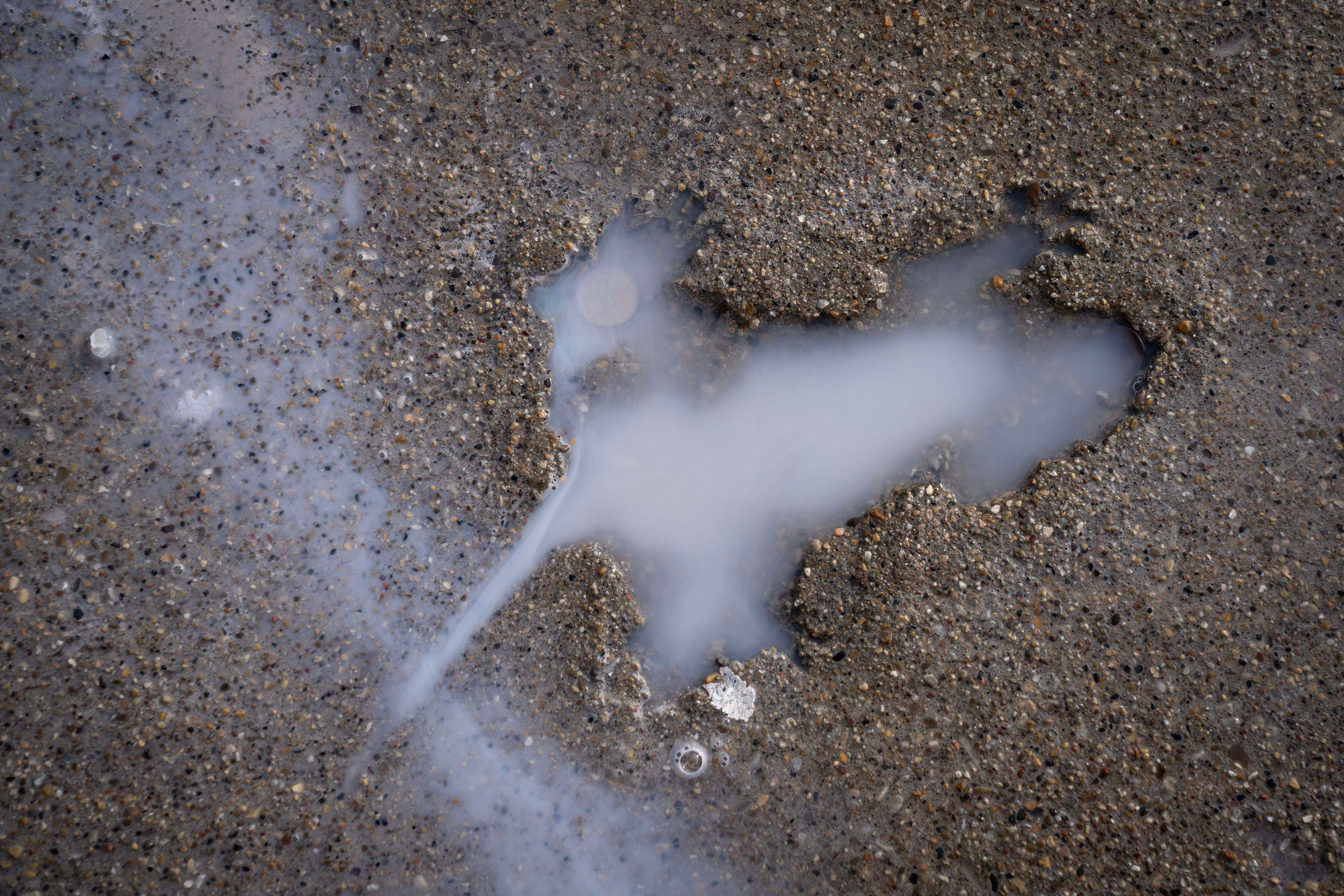 Fans Of 'Chicago Rat Hole' Rescue Rodent-shaped Crater On Sidewalk ...