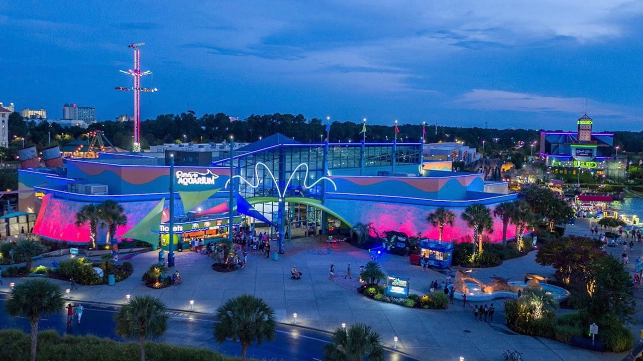 <p>One of the most worthwhile activities in Myrtle Beach is the consistently crowded <a href="https://www.ripleyaquariums.com/myrtlebeach/" rel="nofollow noopener">Ripley’s Aquarium.</a> With such aquarium residents as penguins, sharks, barracudas, and sea turtles, it’s the definitive aquarium of Myrtle Beach. Not only is it a great place for families to visit, Ripley’s also makes for one of the best things to do with friends in Myrtle Beach.</p>