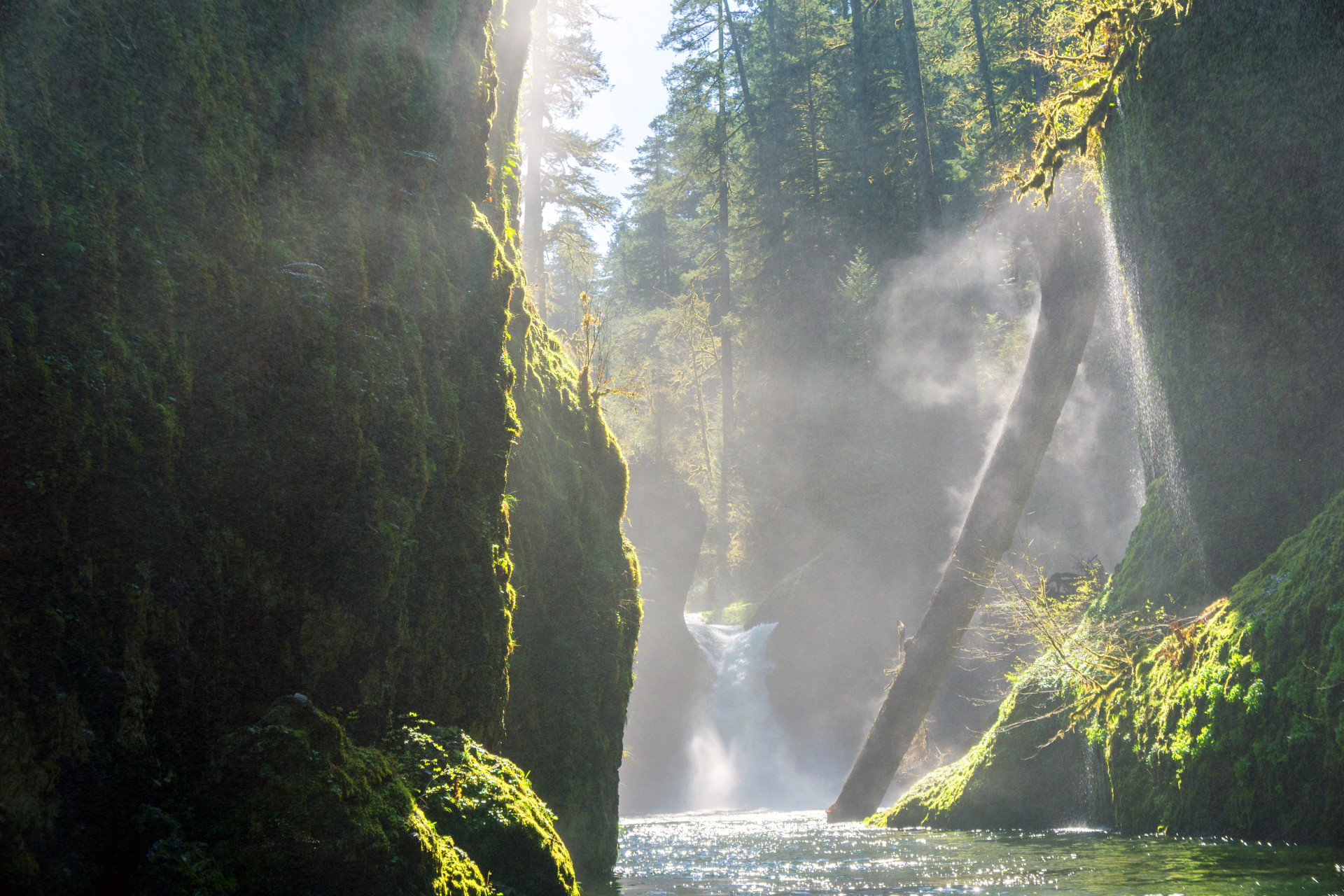 Oneonta Gorge, Oregón