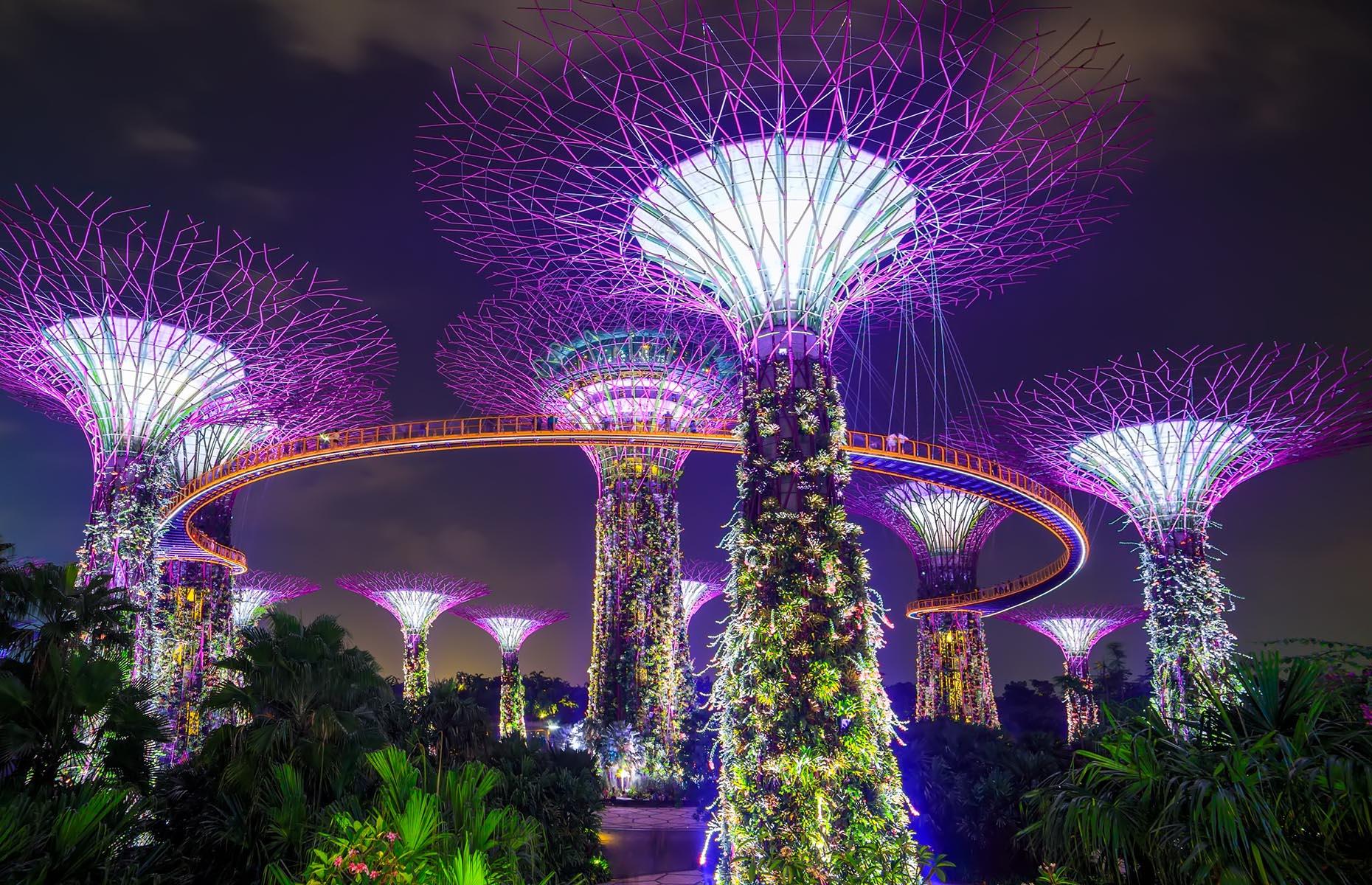 <p>Stay at Gardens By The Bay until nightfall and you can witness the stunning Garden Rhapsody light and music show. The twice-nightly performance grips everyone in its vicinity, as people lie on the lawn beneath the metal trees and take in the dazzling 15-minute show for free. Each month takes on a new theme, but one constant is the trees’ ability to entertain. Sure, take some videos and a few snaps, but remember to also just lie back and soak up this surreal atmosphere in such special surroundings.</p>