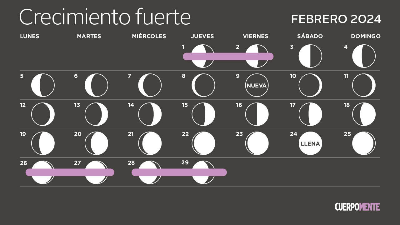 Calendario Lunar: Febrero 2024 (fases De La Luna, Corte De Pelo Y ...