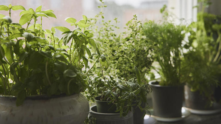 Indoor herb garden ideas – how to display herbs artfully and ...