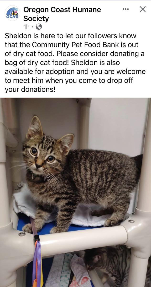 The Oregon Coast Humane Society Is In Need Of Cat Food Donations. - Glenada