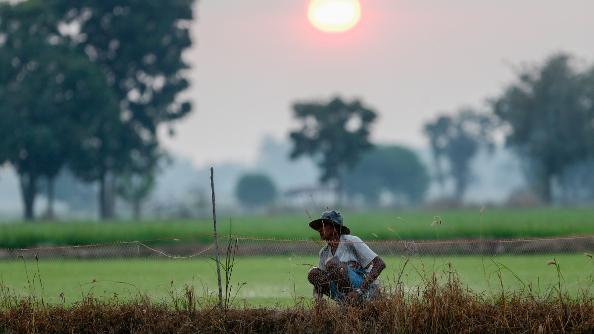 Indian Labour Productivity May Dip 40 By 2100 Amid Climate Crisis Study   BB1gZe0i.img