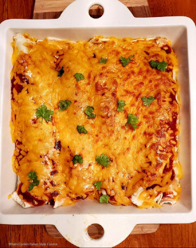 Easy Quick Enchiladas