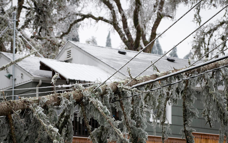 Storm debris drop-off locations open in Springfield, other parts of ...