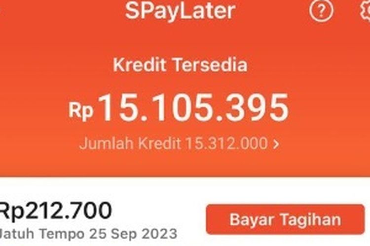 Cara Tambah Limit Shopee Paylater Untuk Kebutuhan Mendesak, Mudah Banget!