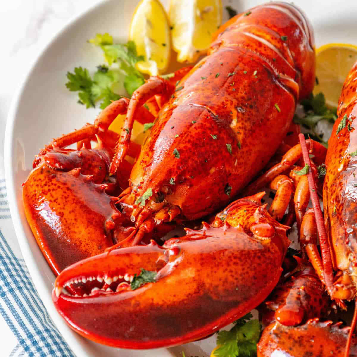 How To Cook Lobster