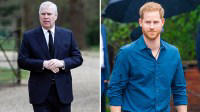 Prince Harry and Prince Andrew Quietly Barred From Counsellor of State Roles Amid King Charles' Medical Procedure