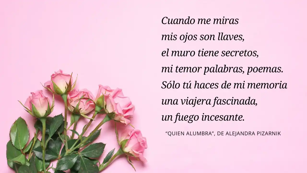 Los 50 Poemas De Amor Cortos Más Bonitos