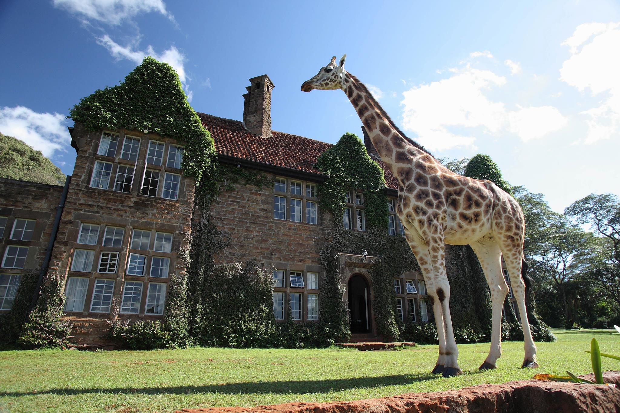 <p>Instagram’s #bucketlist hotels are destinations in themselves. Top of the list is Giraffe Manor, “<a href="https://www.thesafaricollection.com/properties/giraffe-manor/">one of the most instagrammed properties in the world</a>.” If you’ve read about Pig Beach, you know what to expect from Giraffe Manor: free-roaming giraffes, not averse to poking their heads into the hotel windows.</p><p>Travel may be limited for a while yet, but you’ve got to have a <a href="https://www.budgetdirect.com.au/blog/5-retrofuturistic-tourism-ideas-that-never-were.html">dream</a> to have a dream come true. As these destinations show, Instagrammers have plenty of ideas about must-visit places to reach in their lifetime. What locations are on your #bucketlist?</p>