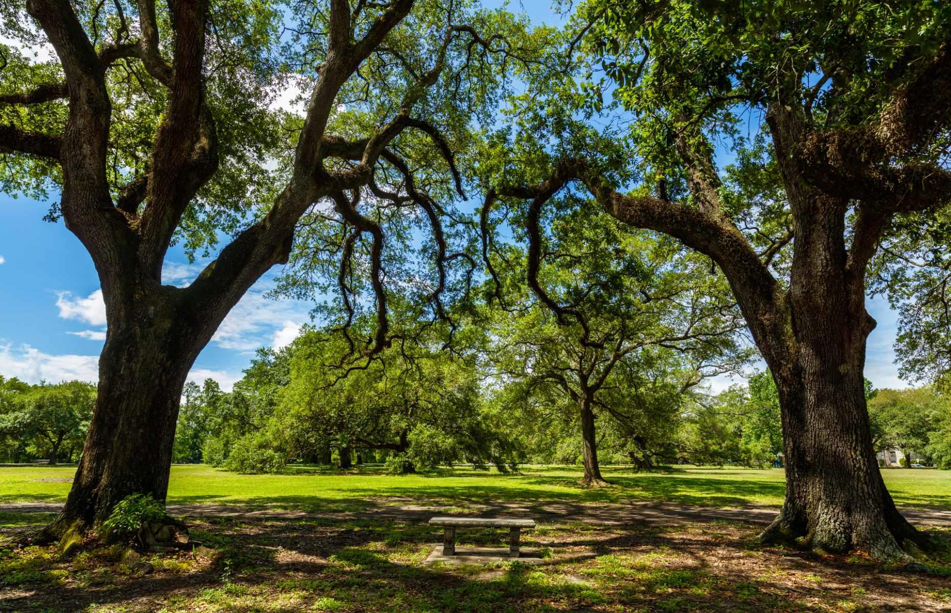 America's Best City Parks Ranked. Does Your State's Make The List?