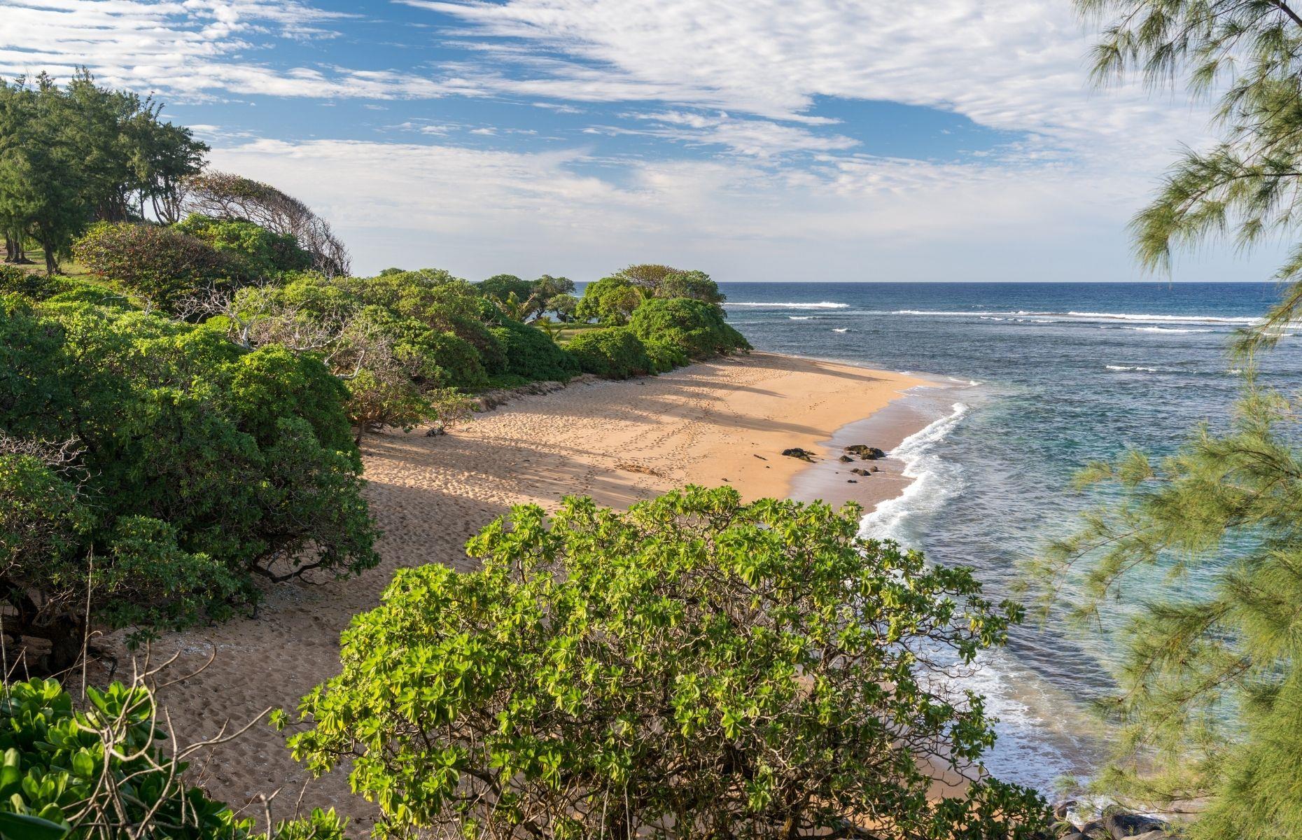 Last Resort Billionaires Plans For 60m Cut Price Epstein Islands