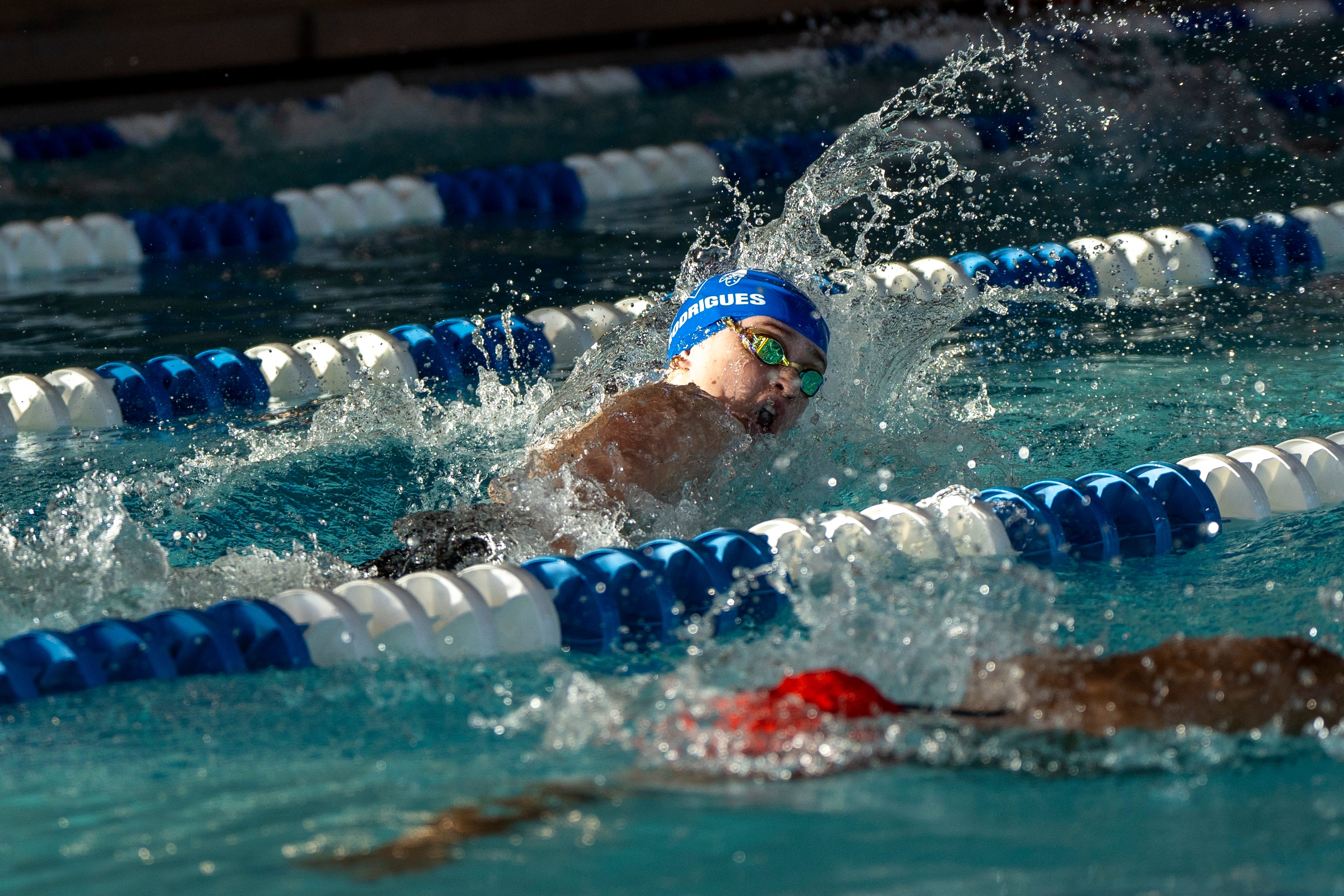 swimming: top performances, results from the 2024 passaic county championships