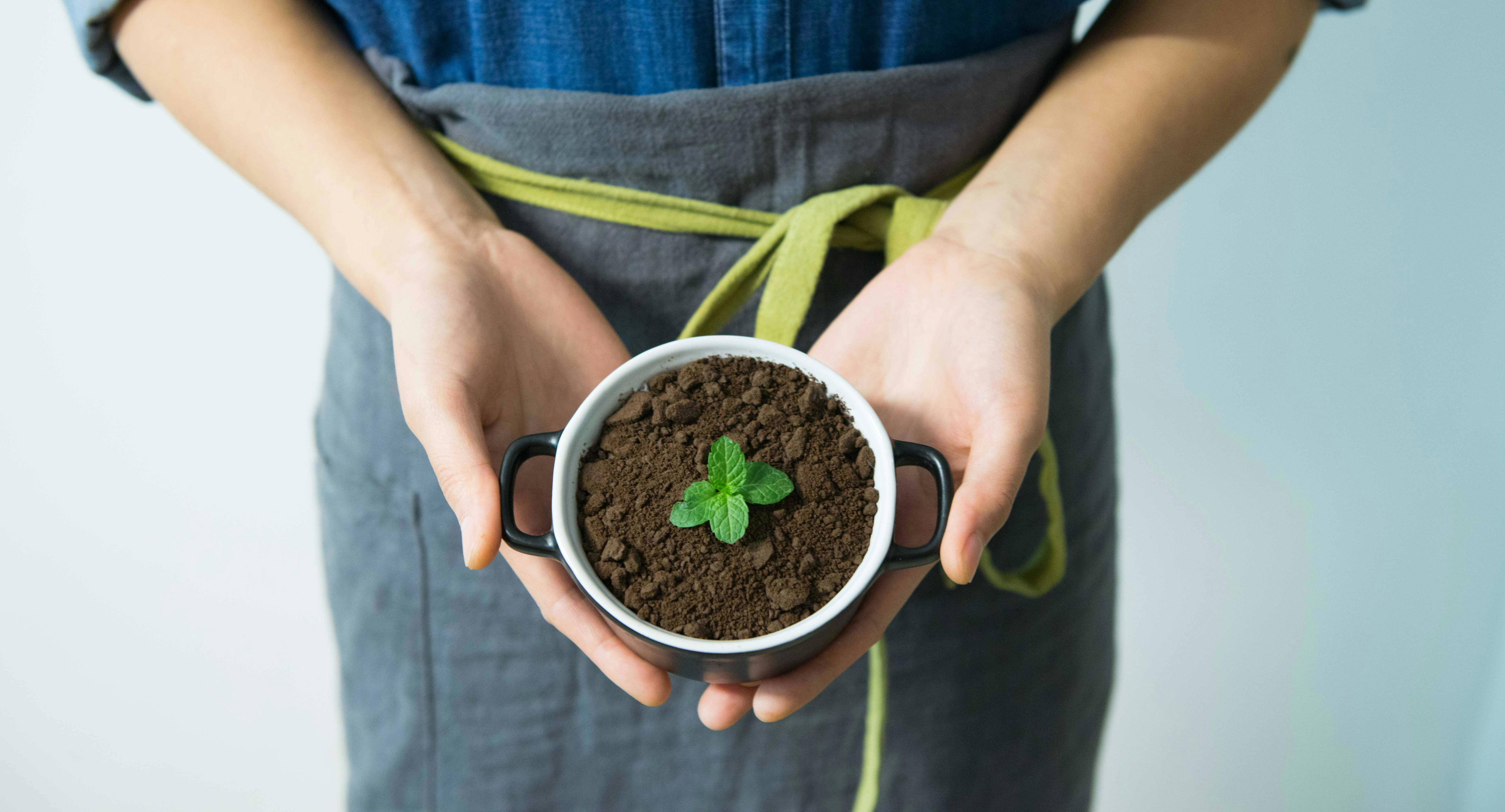 zelenější domov: jak si snadno vyrobit domácí hnojivo