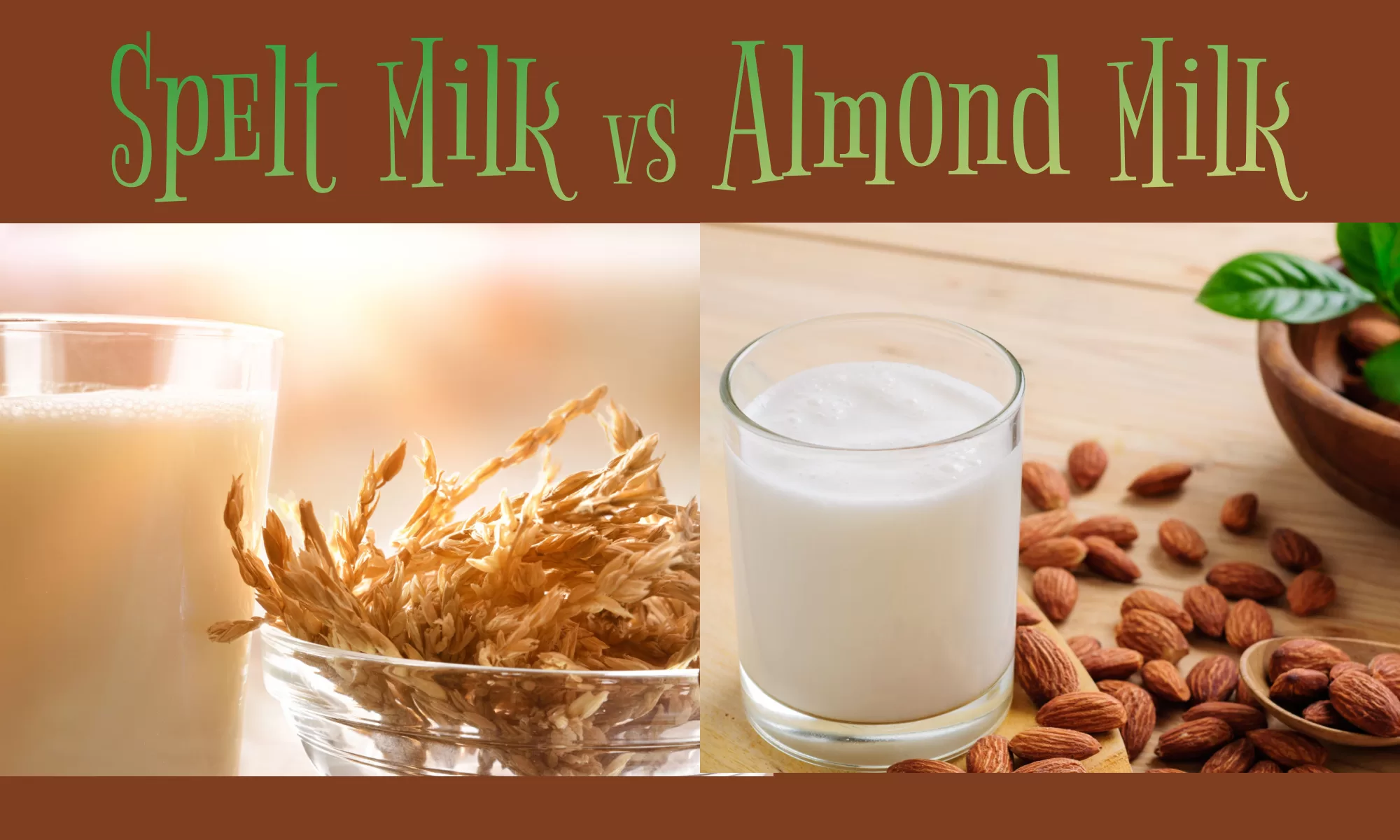 Spelt Milk Vs Almond Milk: Which Is Better?