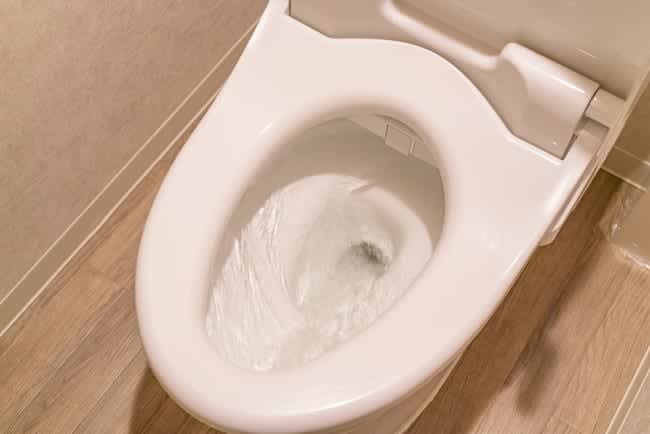 トイレの蓋をせずに流してはいけない！？知っておくべき「トイレのタブー」６選