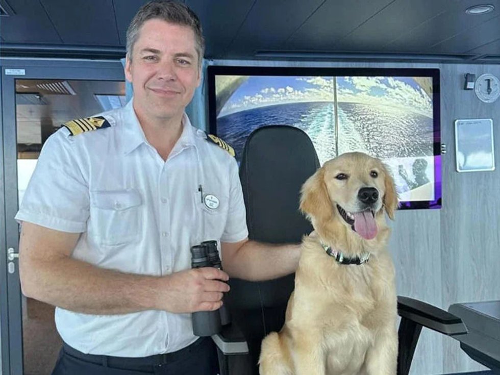 Rover (5 mnd) er Chief Dog Officer på verdens største cruiseskip