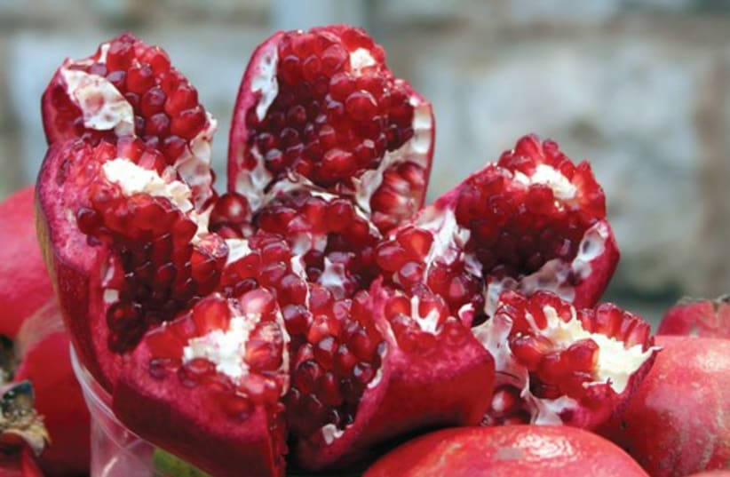 Benefits of purchasing fresh fruit this Tu Bishvat