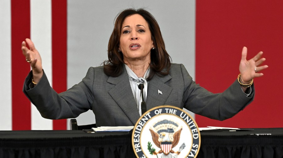 Harris Takes Center Stage In 2024 Abortion Fight