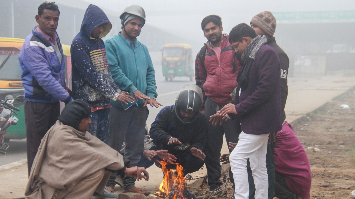 coldwave conditions continue in delhi, moderate fog in some states