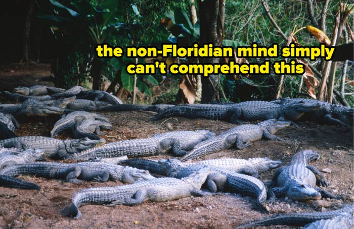 7 things about living in florida that are 100% true and 6 that are 100% false