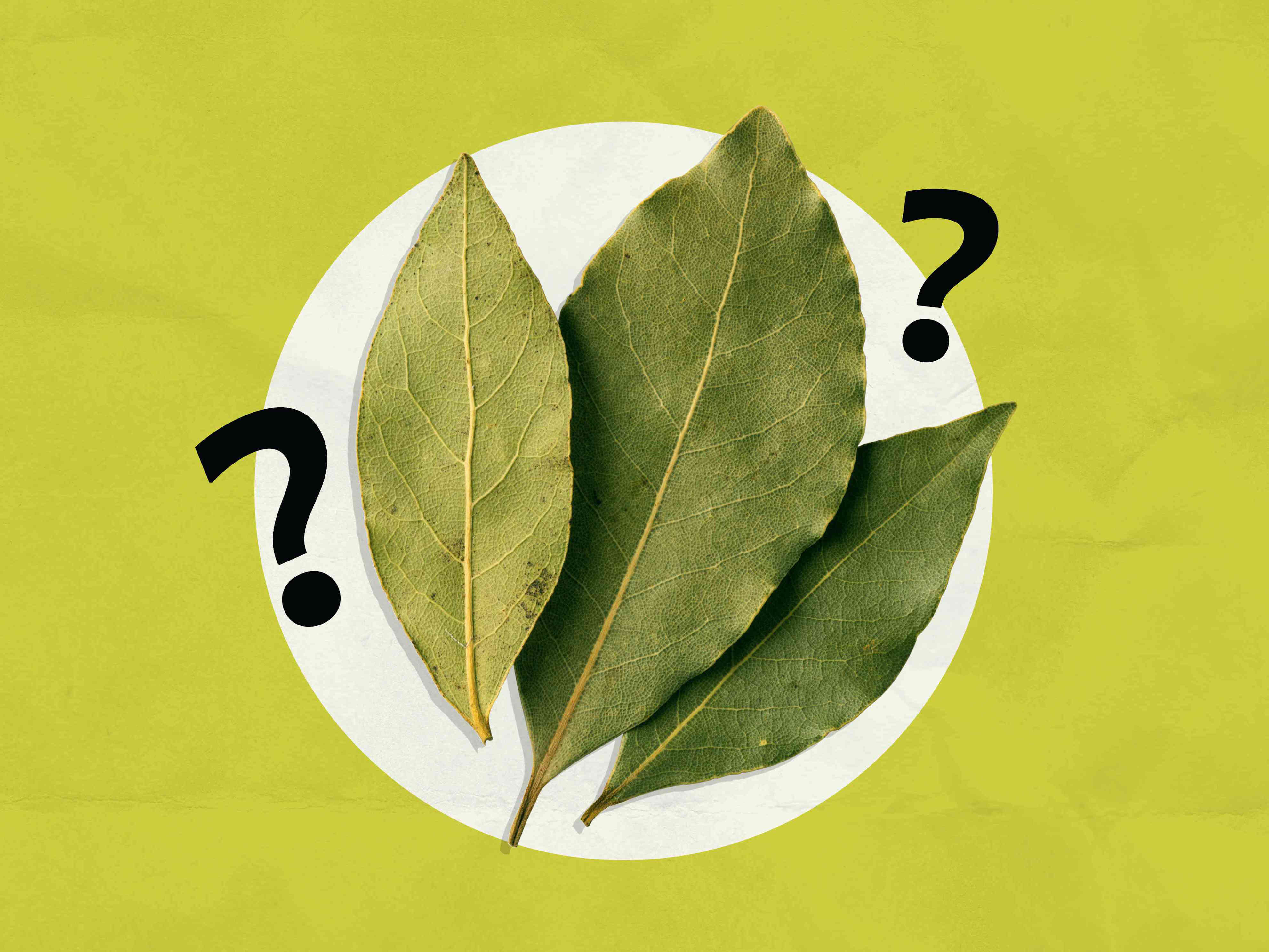 a chef settles the debate: do bay leaves even do anything?