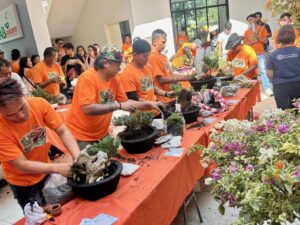 bulacan town earns p30m from garden industry