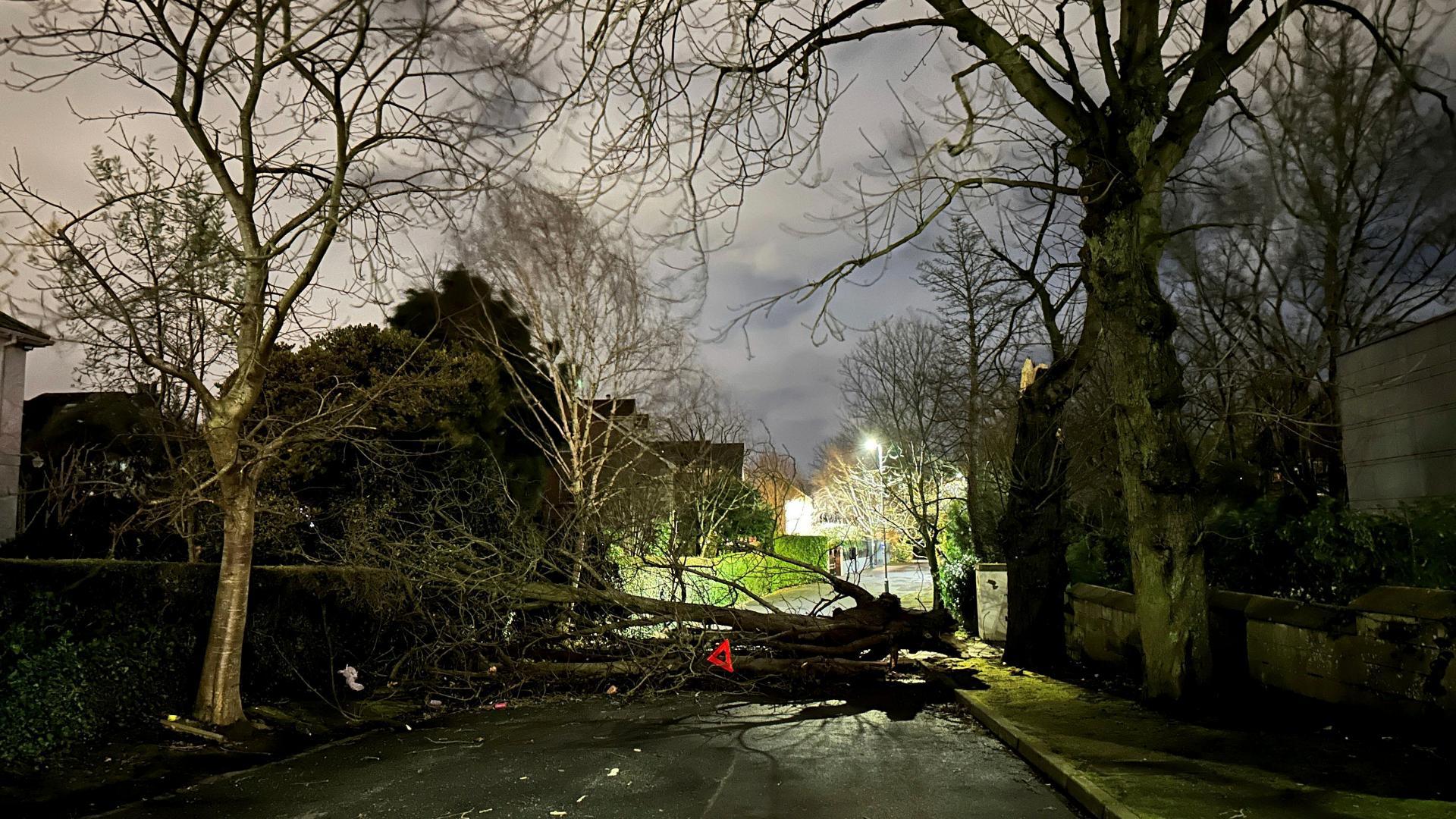 tempestade isha deixa milhares de britânicos sem energia e afeta transportes