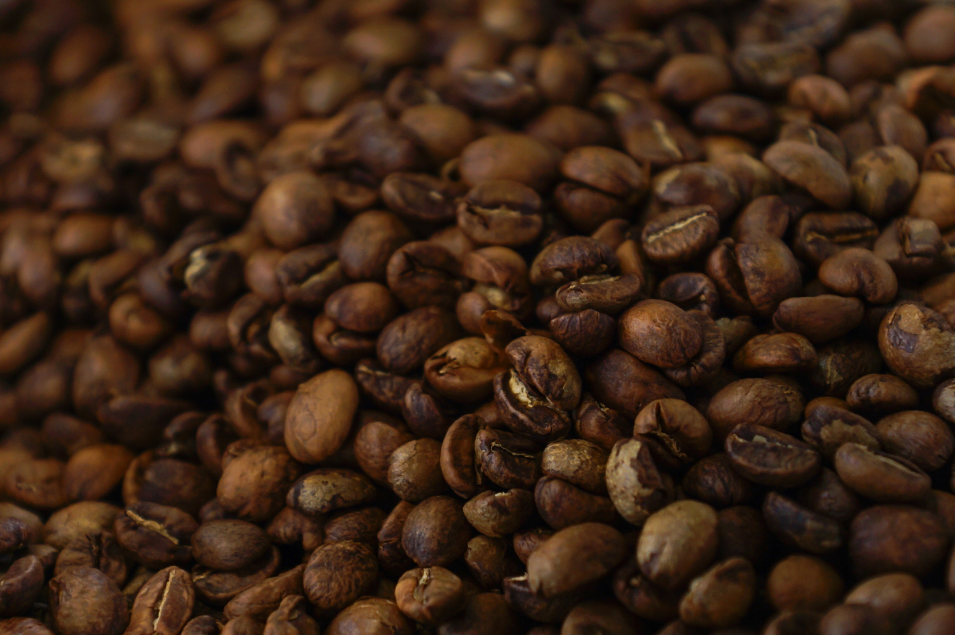 Coffee is made from beans