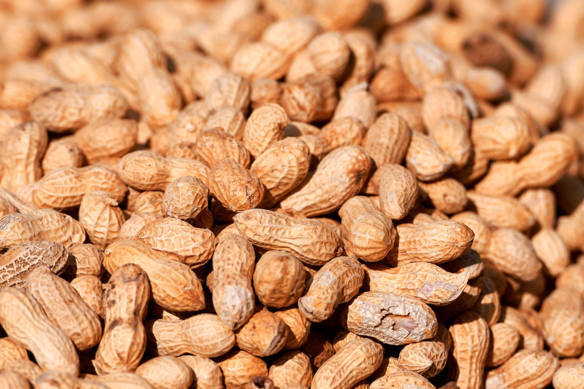 Peanuts are a type of nut