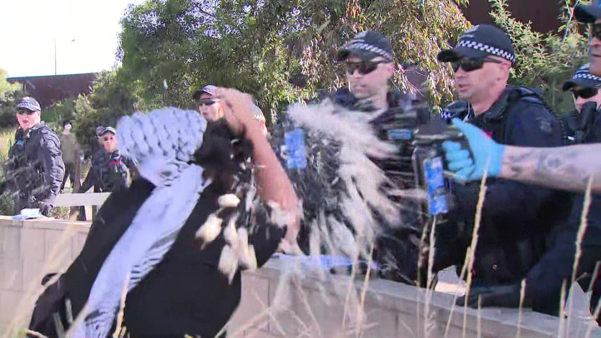 pro-palestinian activists clash with police at port of melbourne