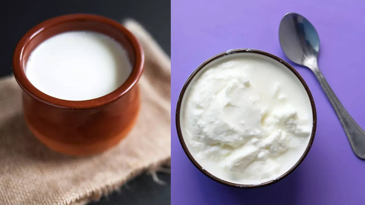 here’s the real difference between curd and yoghurt