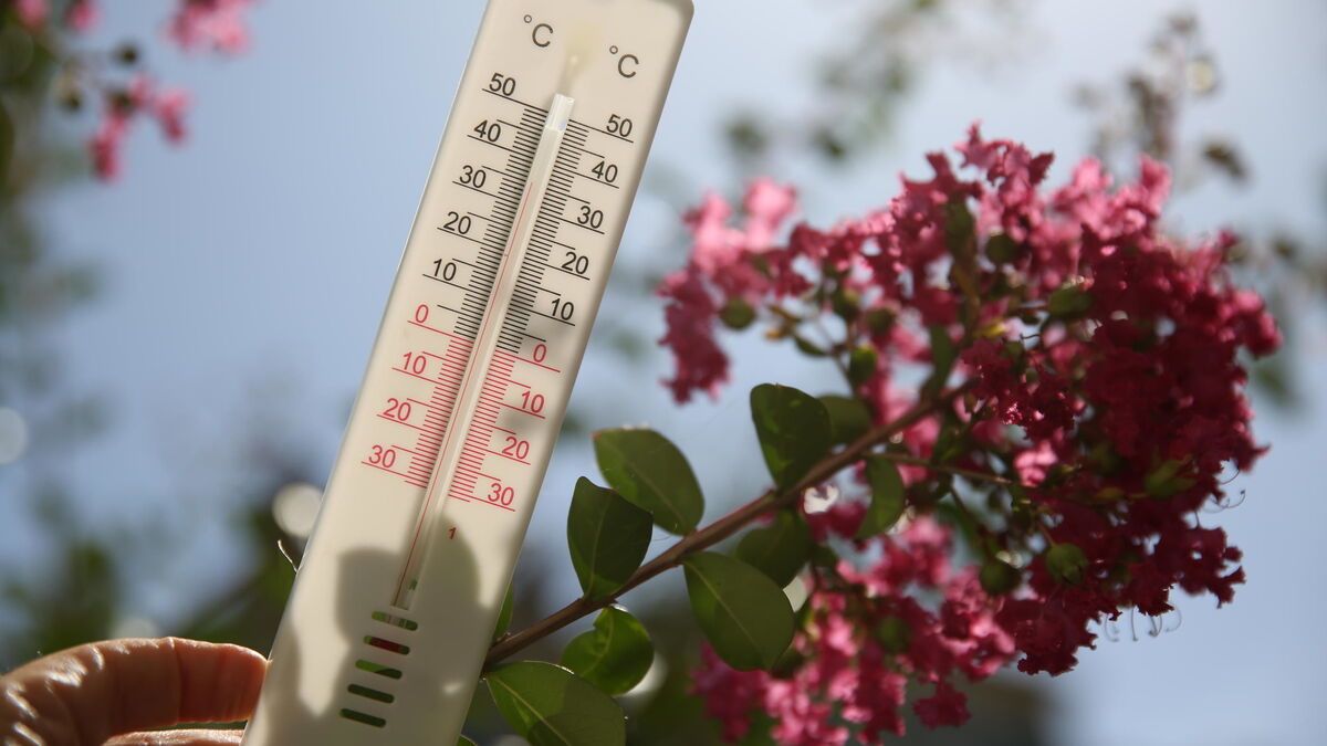 chaleur : jusqu’à 25°c attendus mercredi dans les pyrénées-orientales, records en vue