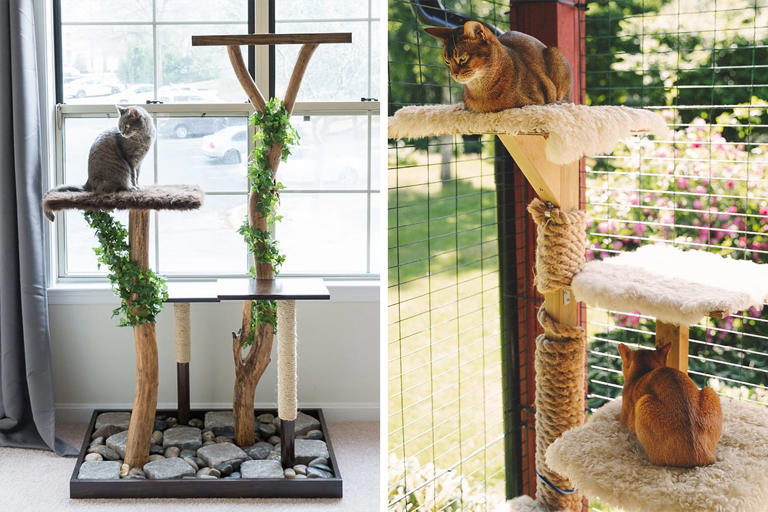 Build an Amazing DIY Cat Tree Tower: 7 Free Plans and Ideas