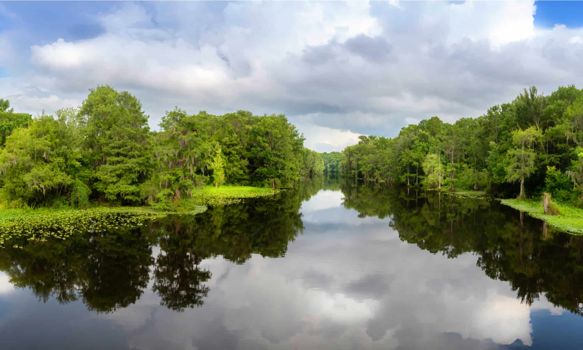 These Are The Most Snake-infested Rivers In Florida