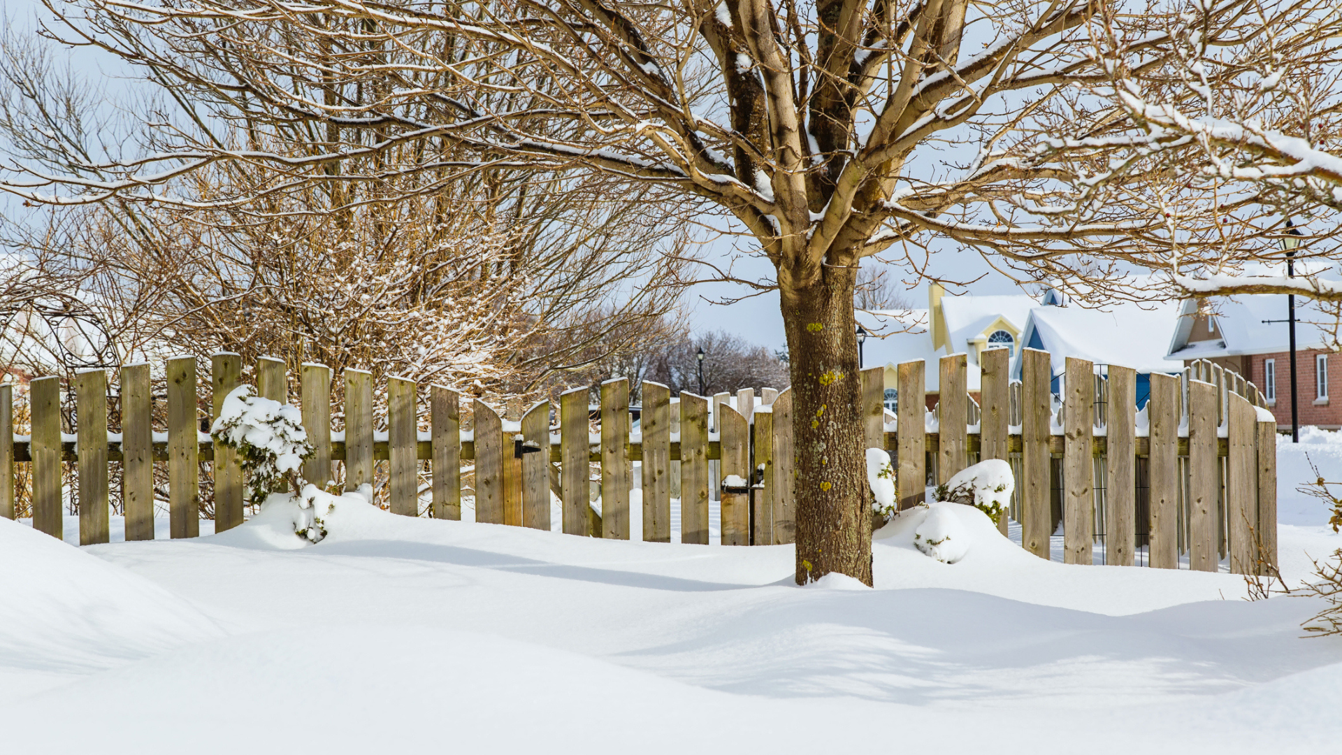 expert reveals the 7 garden items you should never keep outside over winter