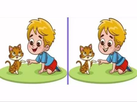 encuentra las 3 diferencias de la imagen del niño y el gato en solo 10 segundos