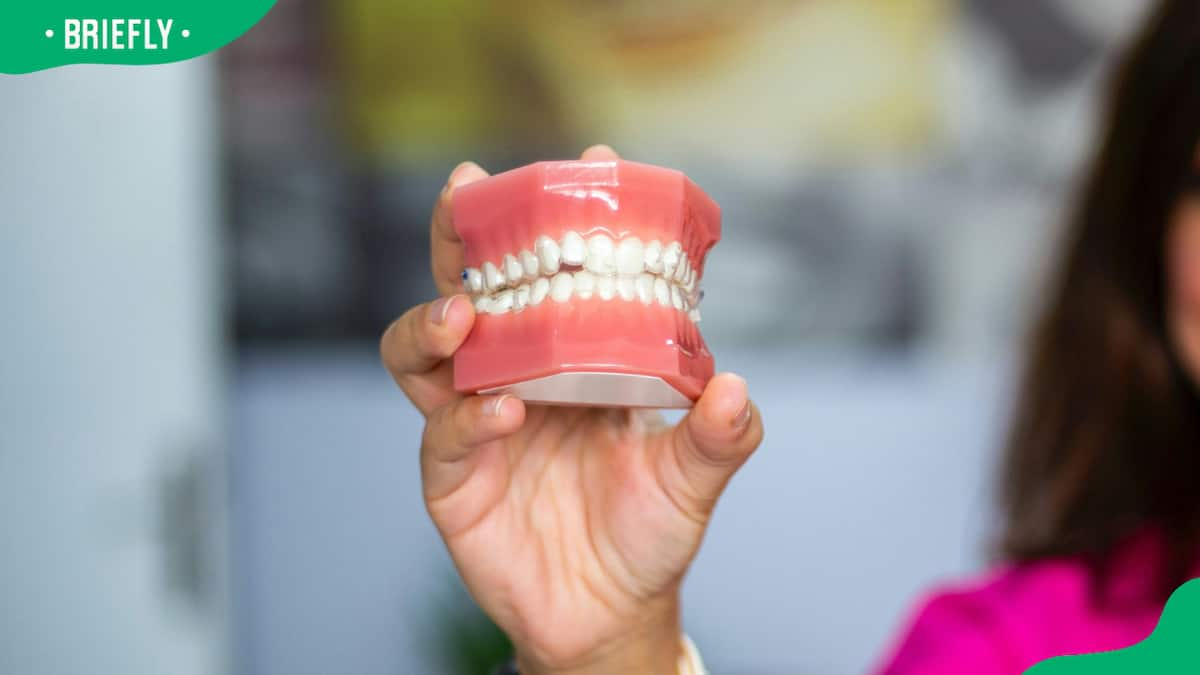 How Much Do Dentures Cost In South Africa In 2024 What You Need To   BB1h4i6K.img