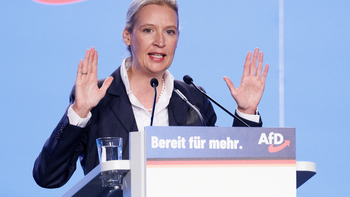 AfD-Vorsitzende Weidel Sieht "Dexit"-Referendum Als Plan B