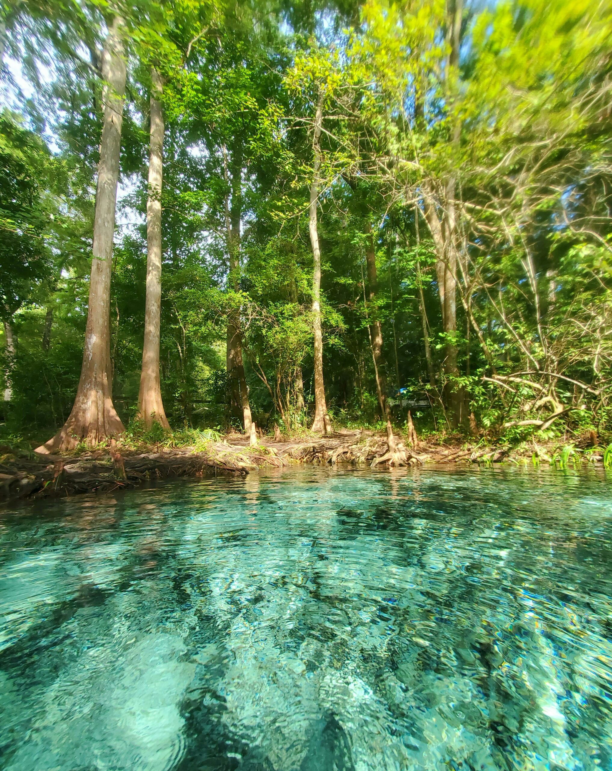 11 Best Swimming Lakes in Florida 2025 11 Best Swimming Lakes in Florida 2025